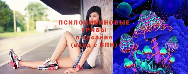 гидропоника Балахна