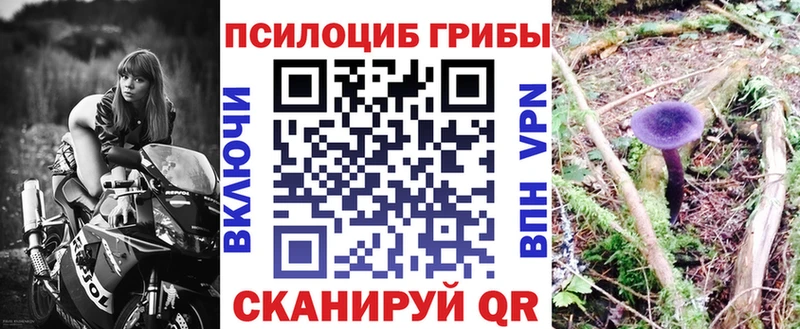 даркнет сайт  Новоржев  Псилоцибиновые грибы Psilocybine cubensis 